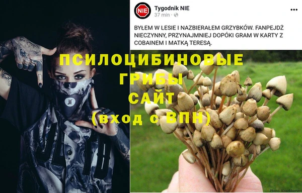 ешки Алзамай